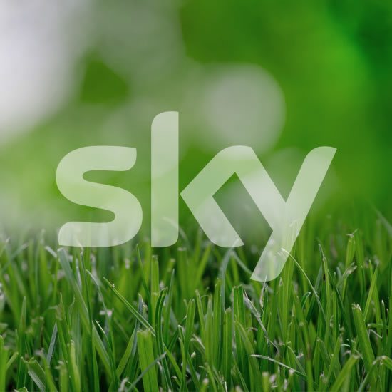 FUSSBALL LIVE
